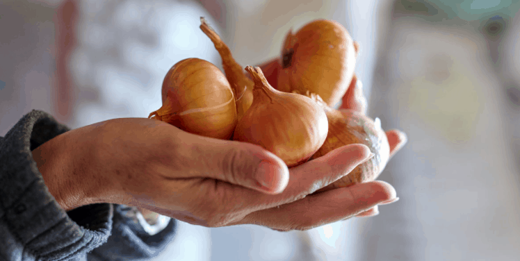 healthy onion eating benefits